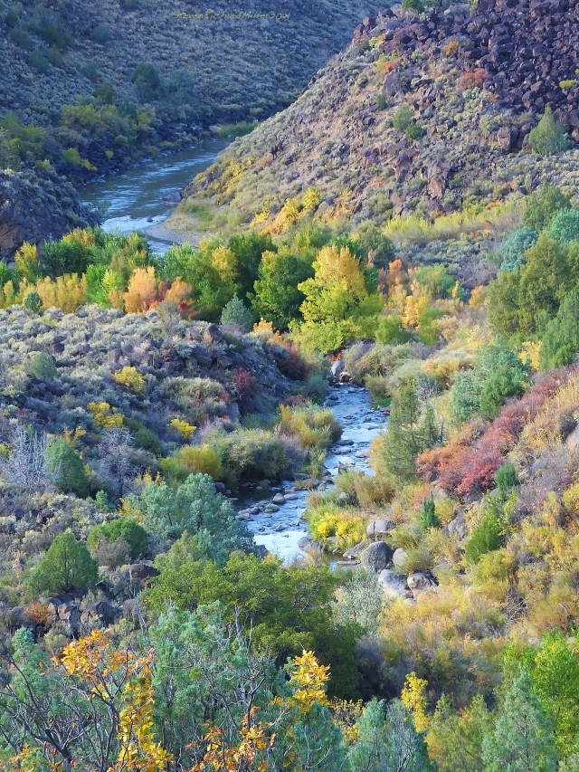 Rio Grande (above) and Rio Pueblo de Taos (below)