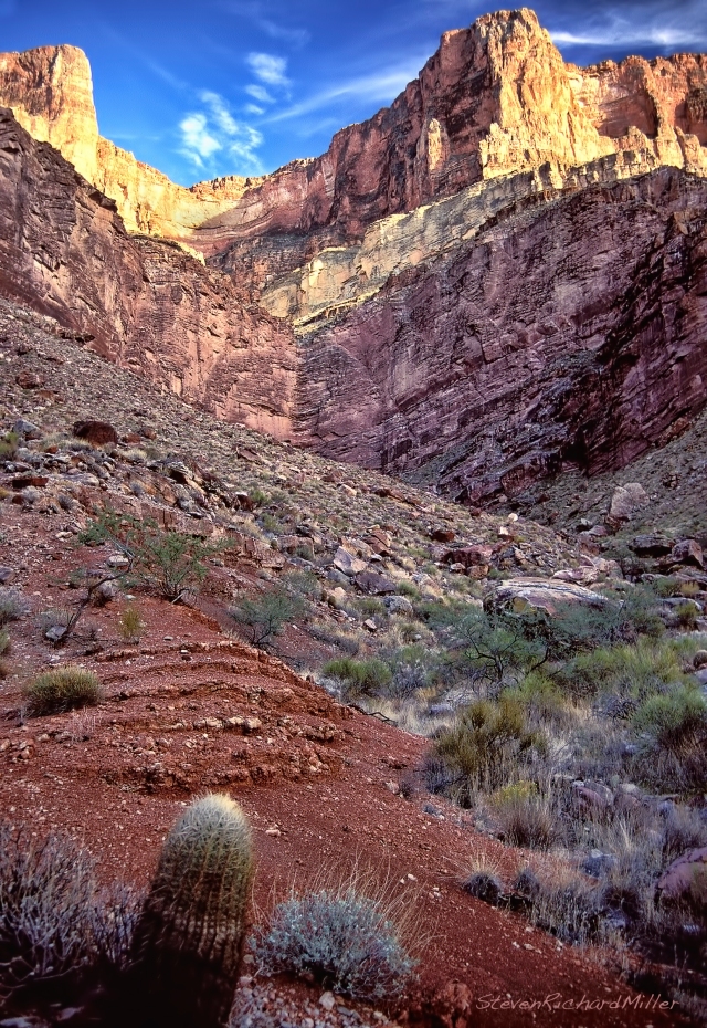 The Grand Canyon Supergroup is present in the upper valley. A barrel cactus is seen in the reddish Hakatai Shale, and the purplish cliff is the Shinumo Quartzite.