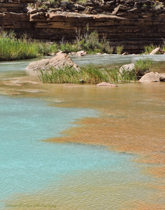 The brown water of the Colorado meets the turquoise water of the Litttle Colorado
